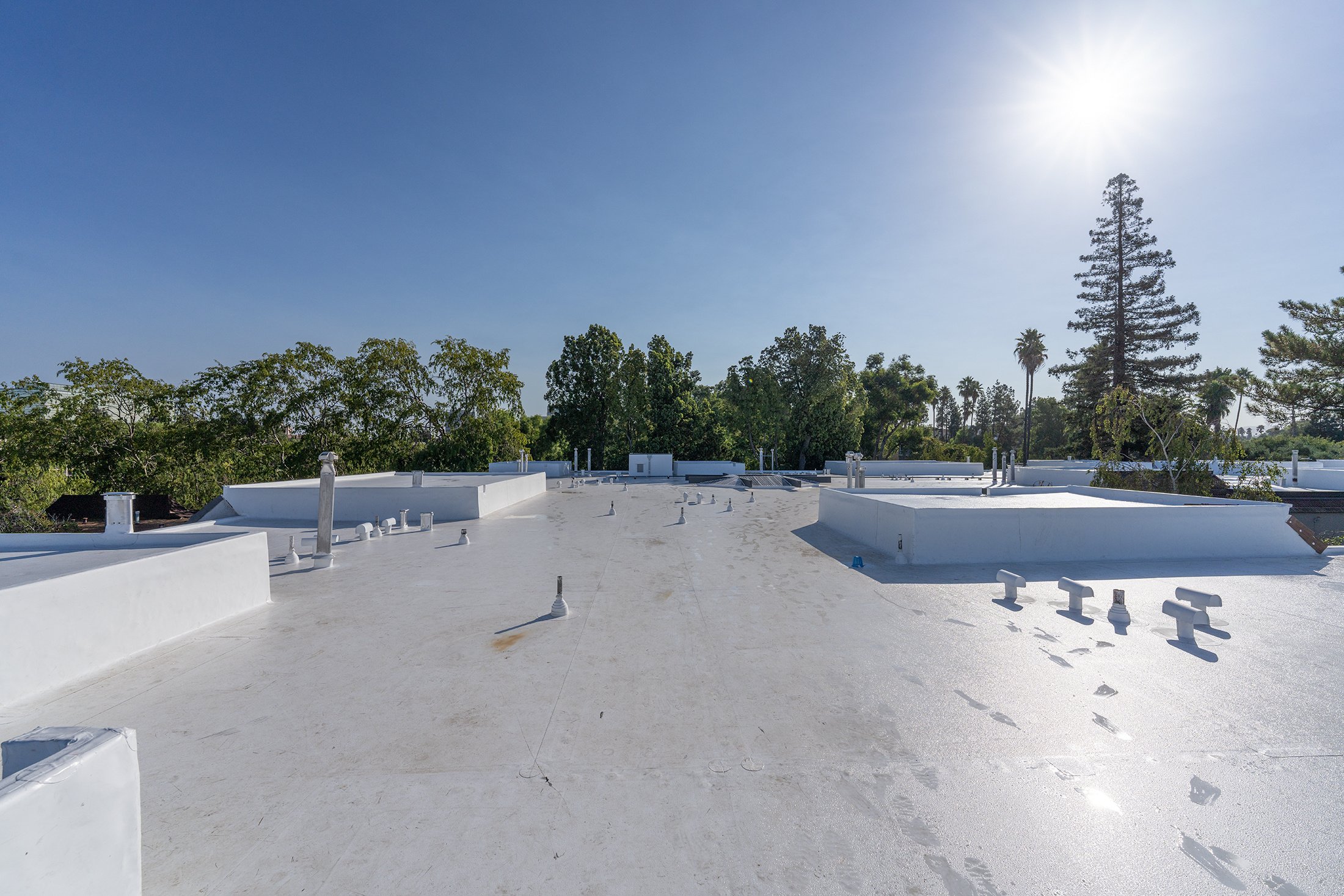 falt roof coating