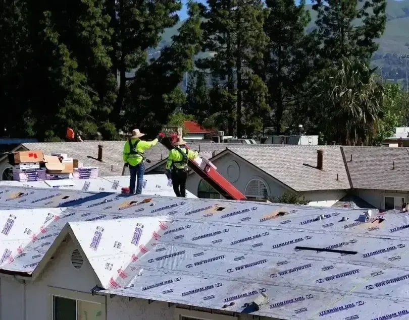 Choosing the Best Underlayment for Your Roof Design